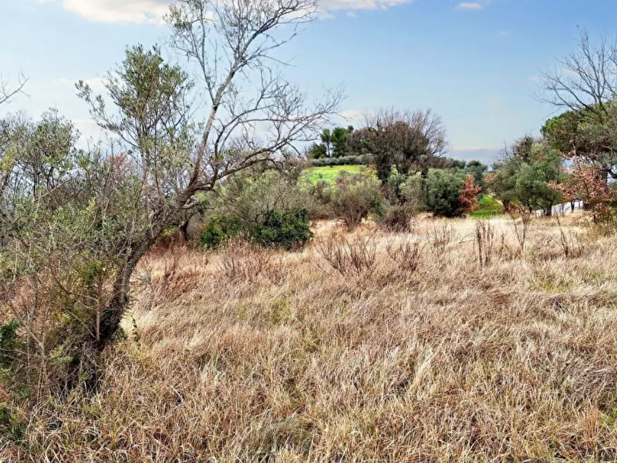 Immagine 9 di Terreno in vendita  in Sala-belvedere, SP 443, N. snc a Montefalco