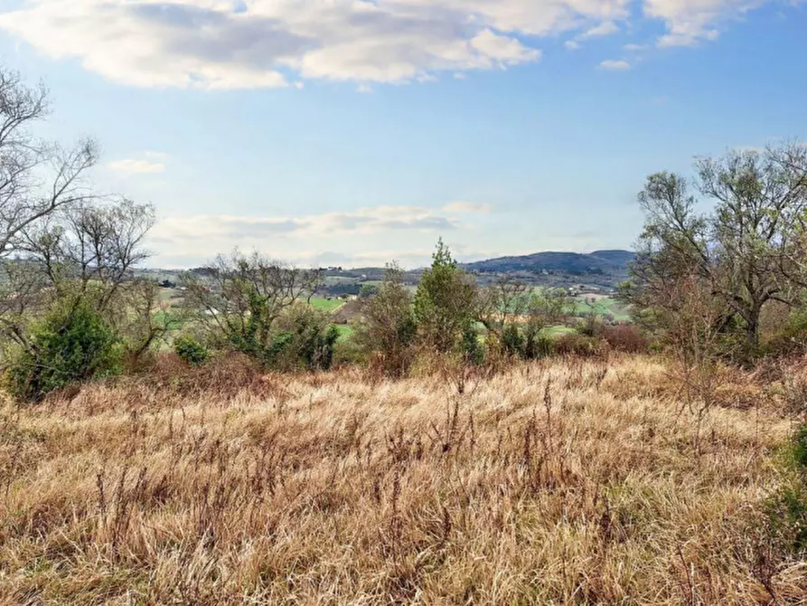 Immagine 10 di Terreno in vendita  in Sala-belvedere, SP 443, N. snc a Montefalco
