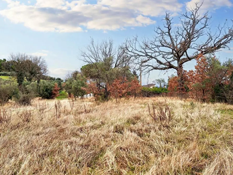 Immagine 11 di Terreno in vendita  in Sala-belvedere, SP 443, N. snc a Montefalco