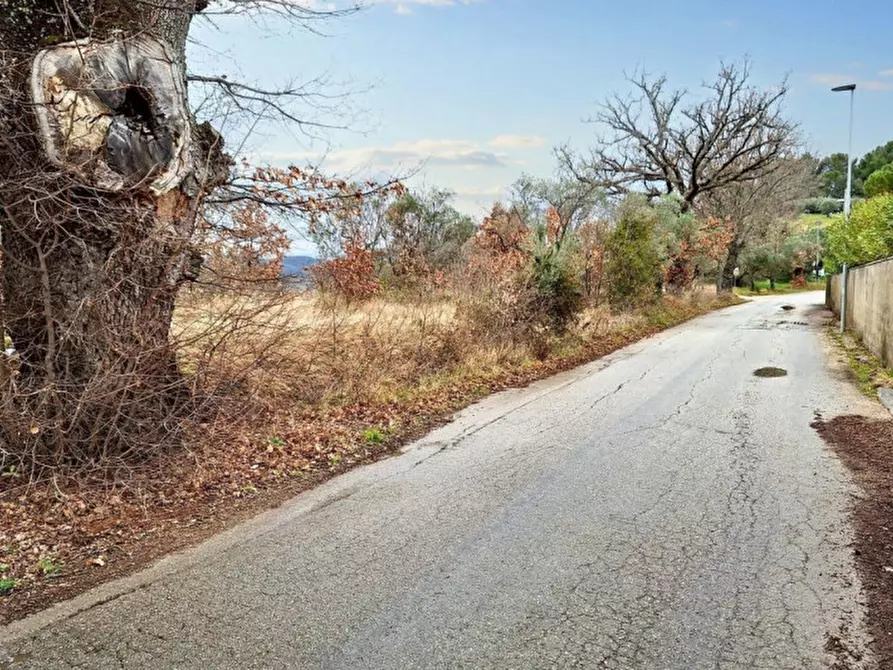 Immagine 12 di Terreno in vendita  in Sala-belvedere, SP 443, N. snc a Montefalco