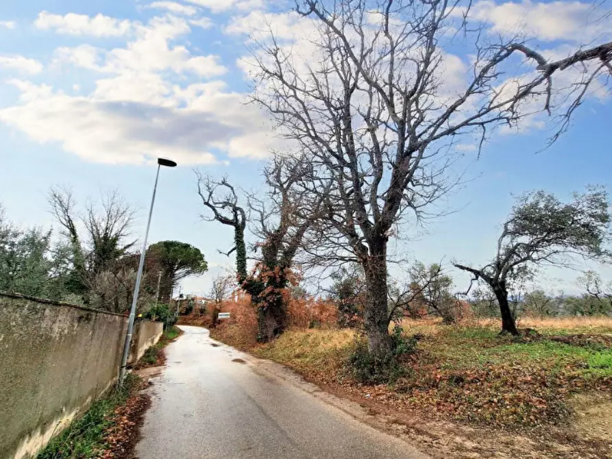 Immagine 13 di Terreno in vendita  in Sala-belvedere, SP 443, N. snc a Montefalco