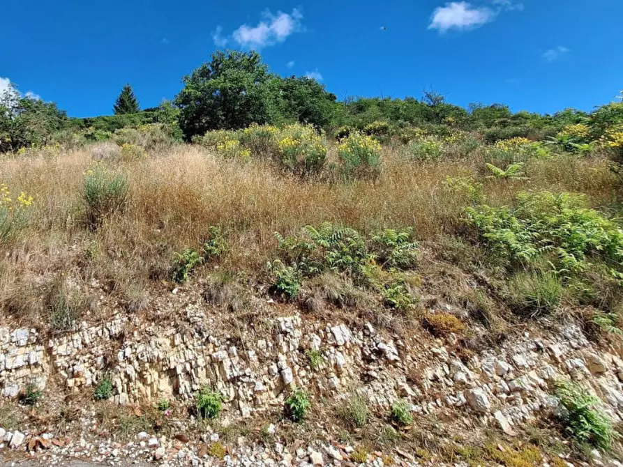 Immagine 5 di Terreno in vendita  in Viale Montedoro, N. Snc a Norcia