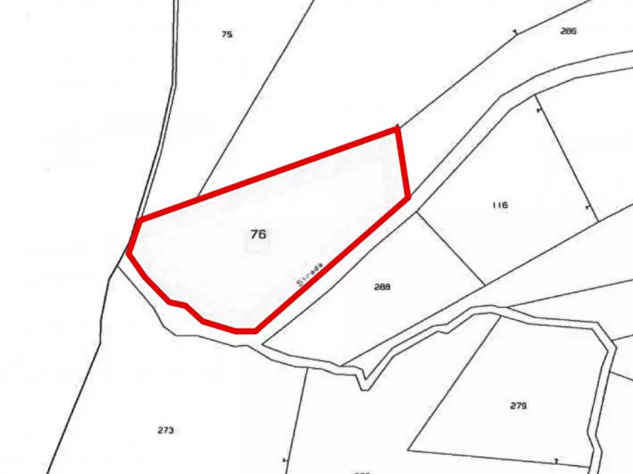 Immagine 7 di Terreno in vendita  in Strada Provinciale 64, N. snc a Arquata Del Tronto