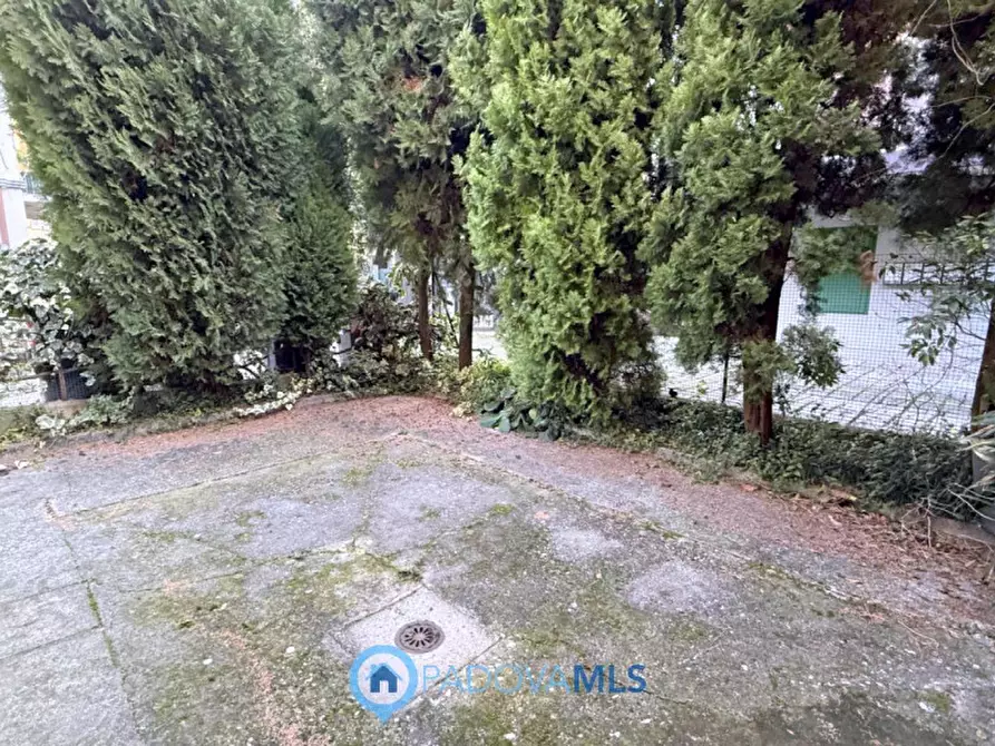 Immagine 23 di Casa bifamiliare in vendita  in Via Antonio Zanchi, 10 a Padova