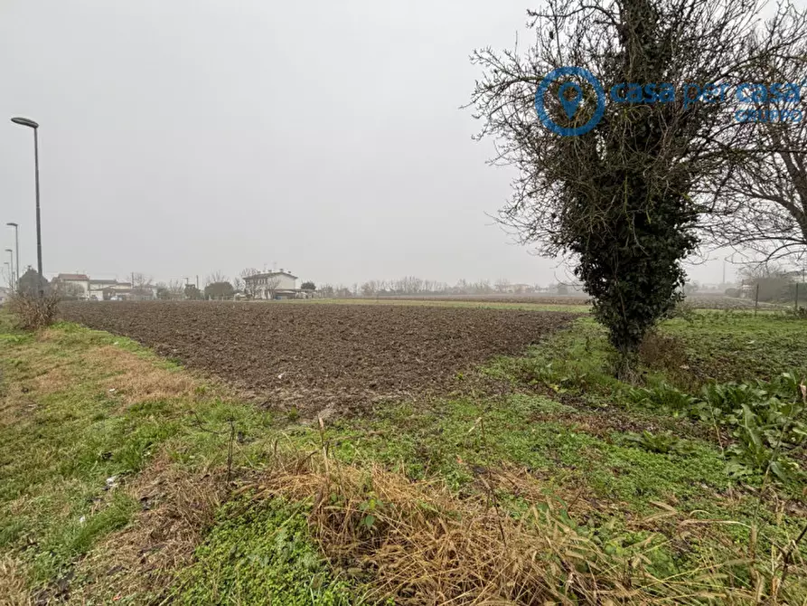 Immagine 5 di Casa indipendente in vendita  a Rovigo