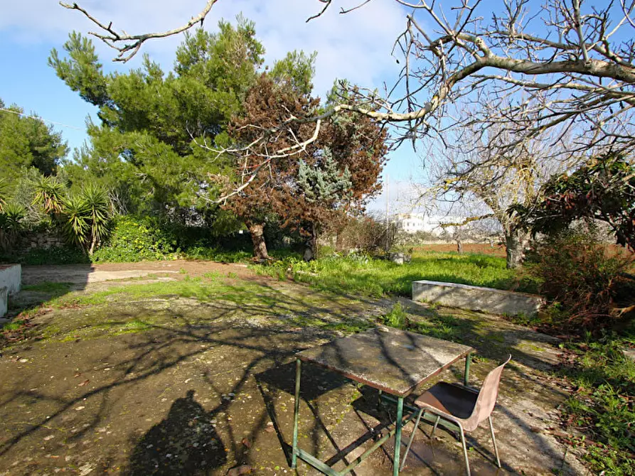 Immagine 12 di Villa in vendita  in Via Antica di Acquarica a Ruffano