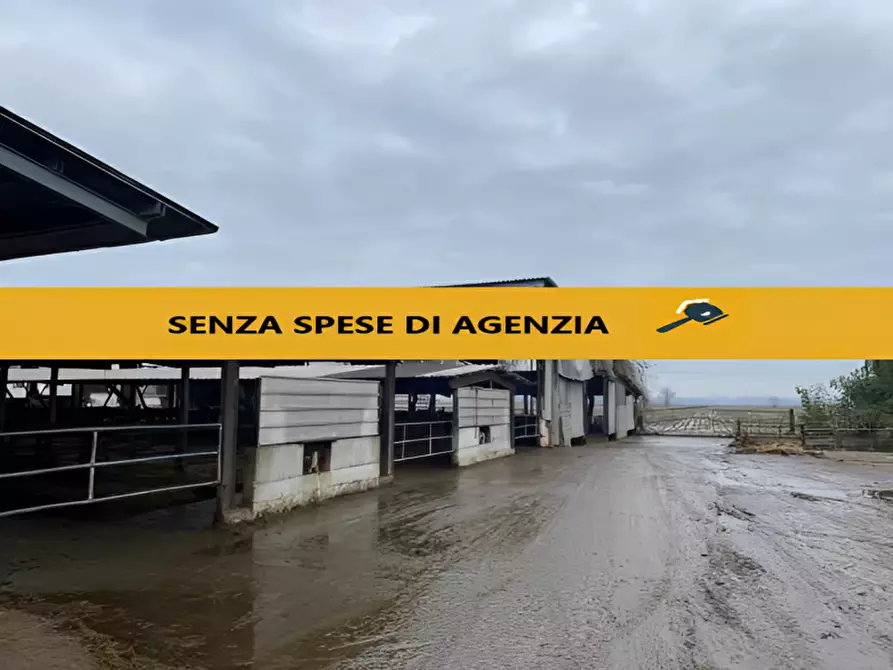 Immagine 1 di Attività commerciale in vendita  in Cascina Livelli Goldanino snc a Senna Lodigiana