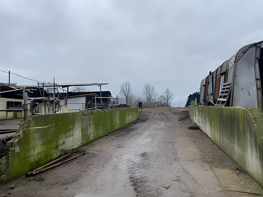 Immagine 3 di Attività commerciale in vendita  in Cascina Livelli Goldanino snc a Senna Lodigiana