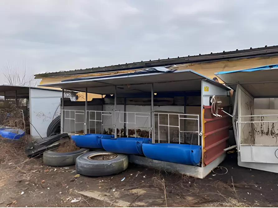 Immagine 4 di Attività commerciale in vendita  in Cascina Livelli Goldanino snc a Senna Lodigiana