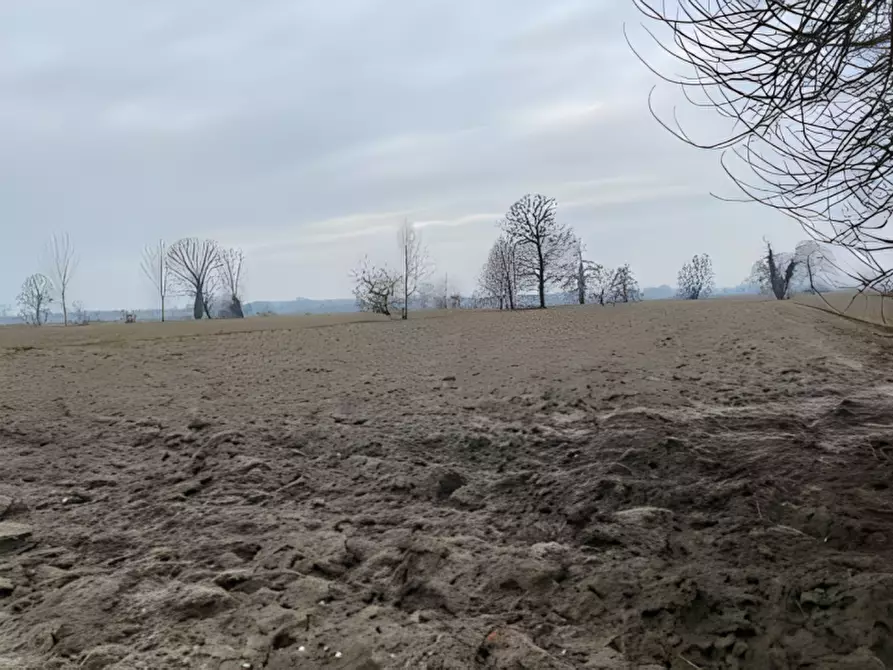 Immagine 6 di Attività commerciale in vendita  in Cascina Livelli Goldanino snc a Senna Lodigiana