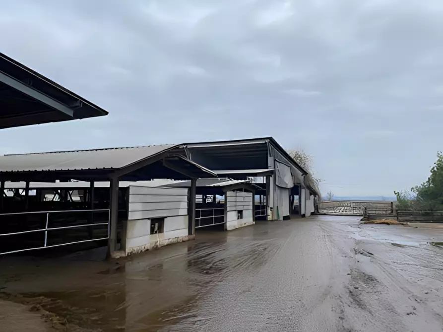 Immagine 7 di Attività commerciale in vendita  in Cascina Livelli Goldanino snc a Senna Lodigiana