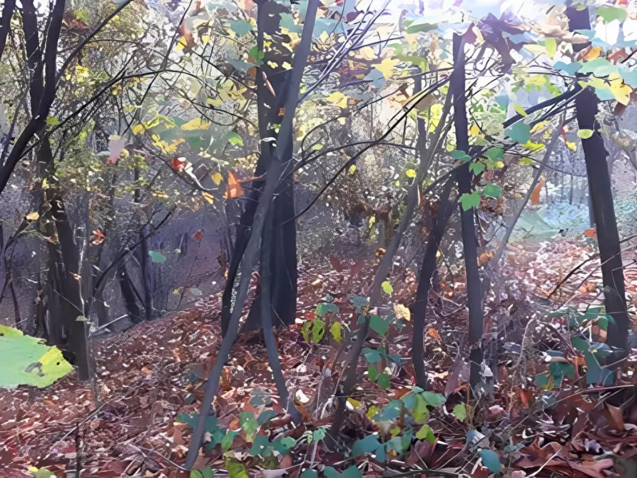 Immagine 19 di Appartamento in vendita  in Via De Amicis n. 16 a Cureggio