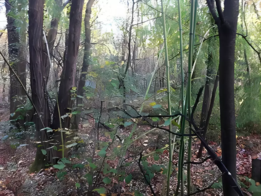 Immagine 20 di Appartamento in vendita  in Via De Amicis n. 16 a Cureggio