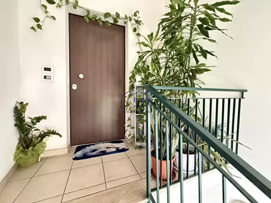 Immagine 25 di Appartamento in vendita  in Viale San Pio X a Oderzo