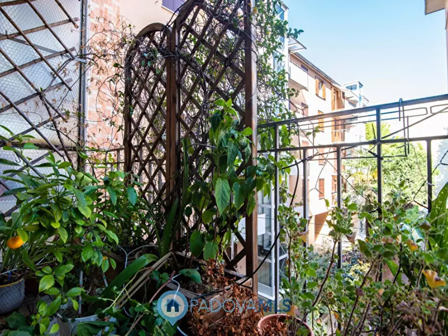 Immagine 17 di Appartamento in vendita  in Via San Gregorio Barbarigo n. 1 a Padova