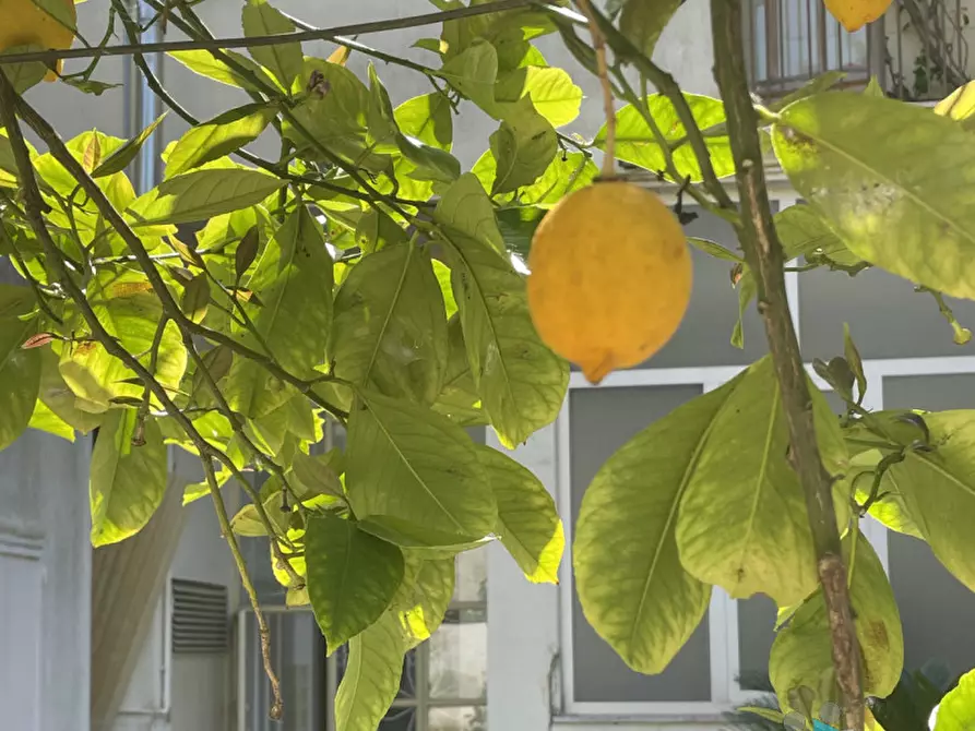 Immagine 24 di Casa bifamiliare in vendita  in via san pio X a Squinzano