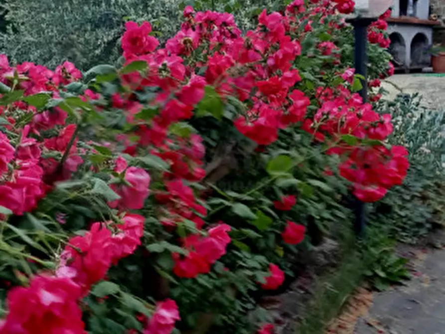 Immagine 18 di Rustico / casale in vendita  in Località Castiglioni a Rufina