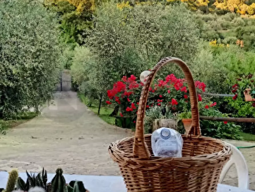 Immagine 19 di Rustico / casale in vendita  in Località Castiglioni a Rufina