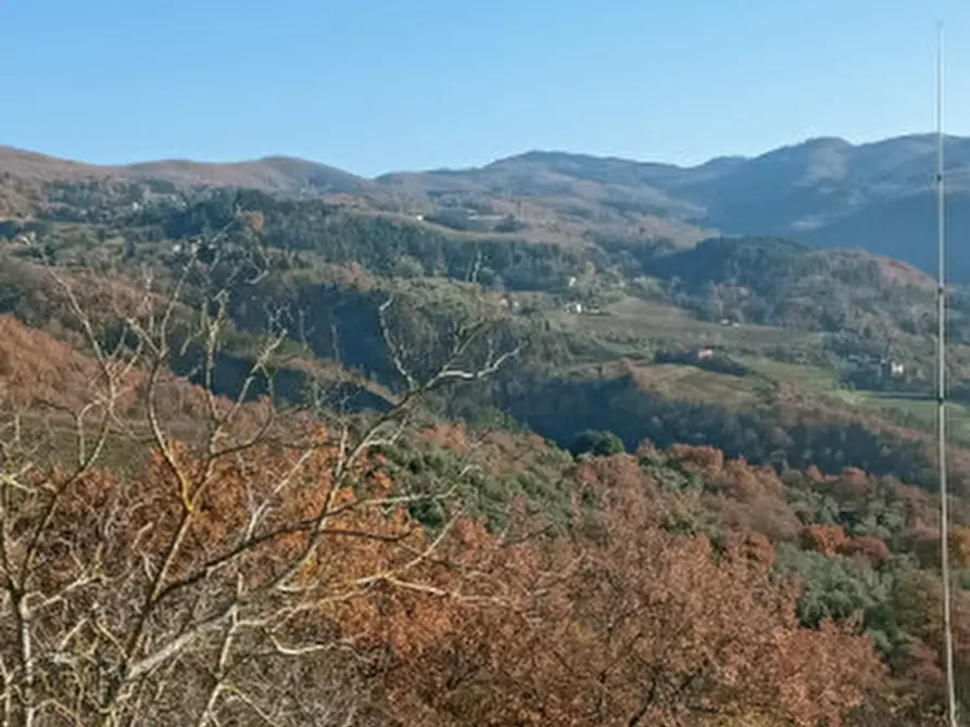 Immagine 21 di Rustico / casale in vendita  in Località Castiglioni a Rufina