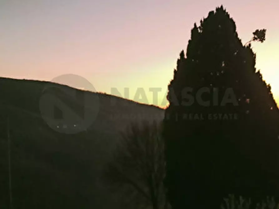 Immagine 22 di Rustico / casale in vendita  in Località Castiglioni a Rufina