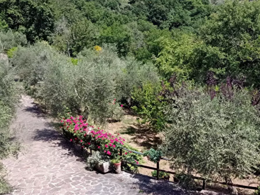 Immagine 23 di Rustico / casale in vendita  in Località Castiglioni a Rufina