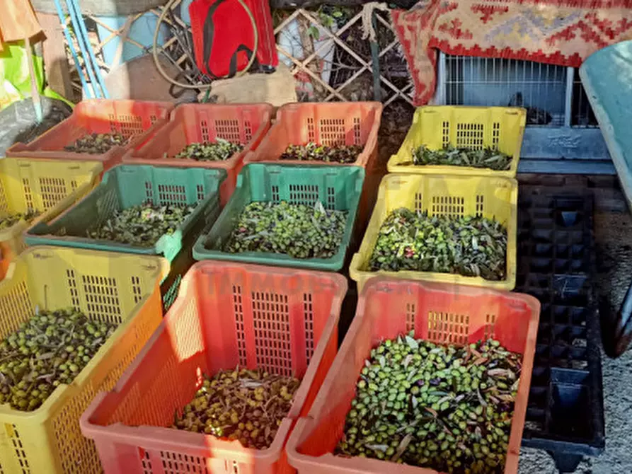 Immagine 24 di Rustico / casale in vendita  in Località Castiglioni a Rufina