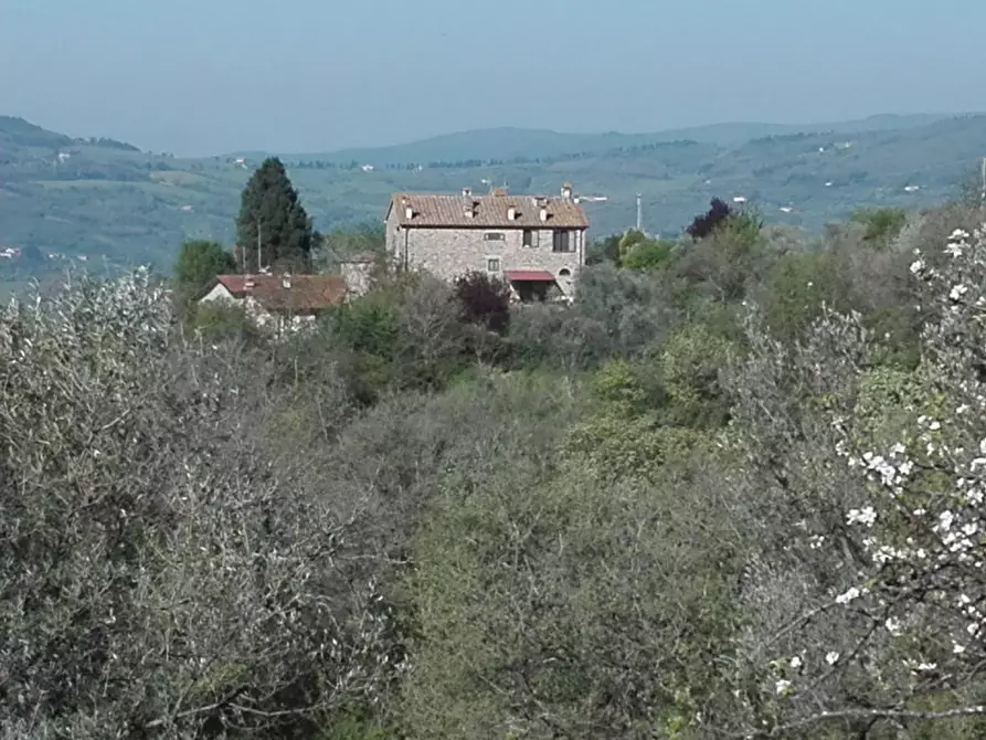 Immagine 27 di Rustico / casale in vendita  in Località Castiglioni a Rufina