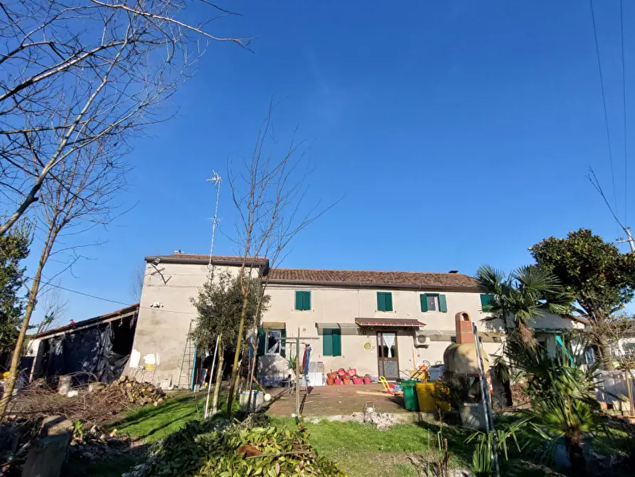 Immagine 1 di Casa indipendente in vendita  a Badia Polesine