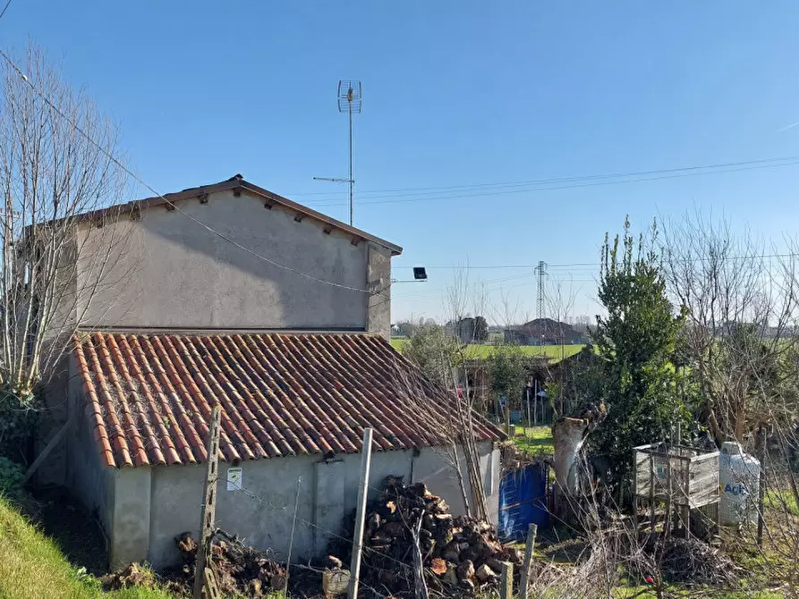 Immagine 2 di Casa indipendente in vendita  a Badia Polesine