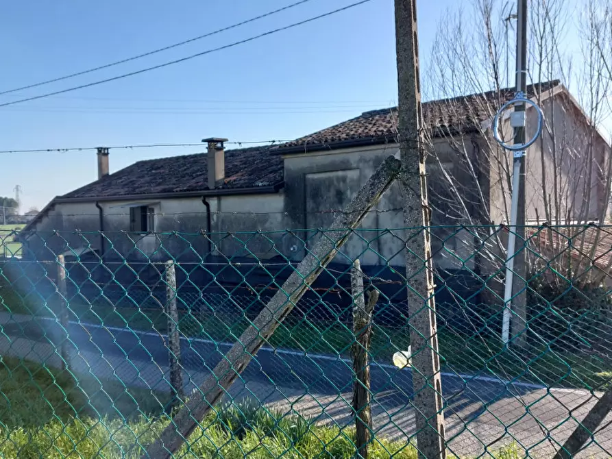 Immagine 3 di Casa indipendente in vendita  a Badia Polesine