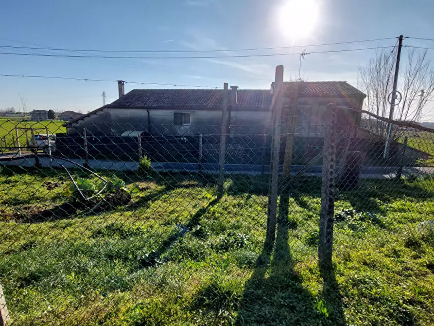 Immagine 4 di Casa indipendente in vendita  a Badia Polesine