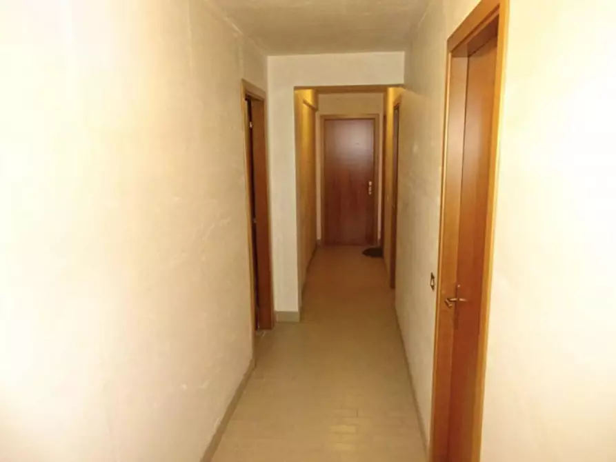 Immagine 5 di Cantina in vendita  in Via G. Tommasi, 60030 Pianello Vallesina AN, Italia a Monte Roberto