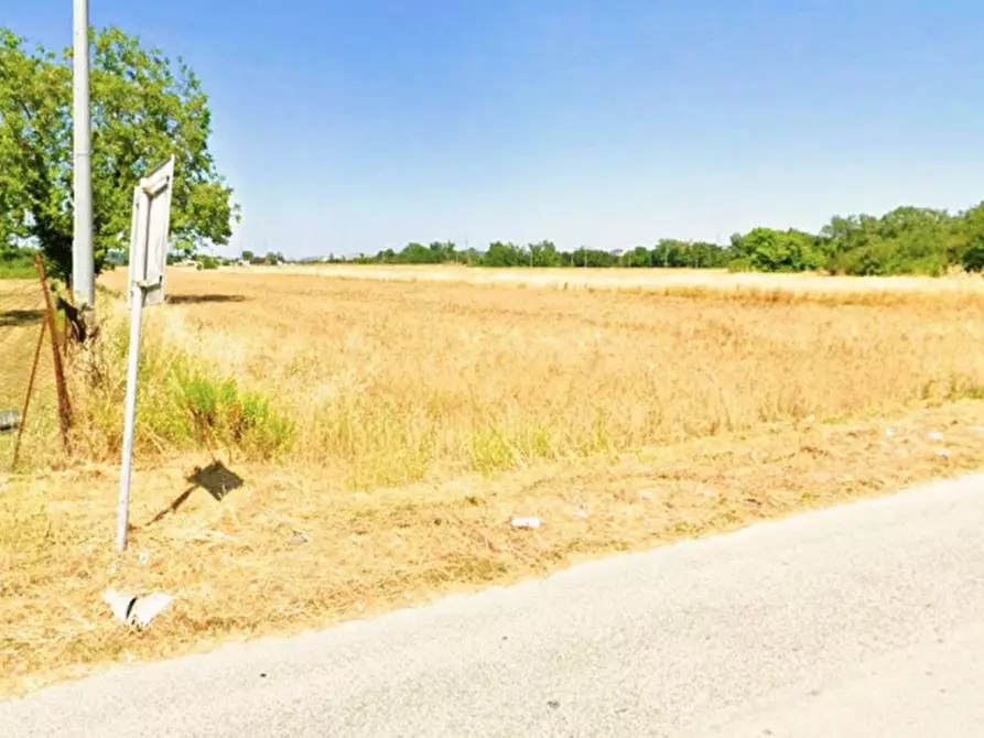 Immagine 2 di Terreno in vendita  in Via Santo Apollinare, Monte Roberto AN, Italia a Monte Roberto