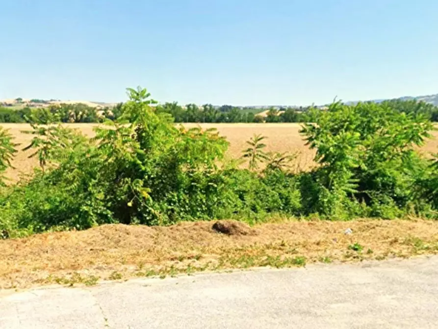 Immagine 3 di Terreno in vendita  in Via Santo Apollinare, Monte Roberto AN, Italia a Monte Roberto