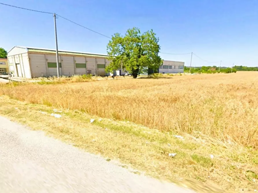 Immagine 4 di Terreno in vendita  in Via Santo Apollinare, Monte Roberto AN, Italia a Monte Roberto