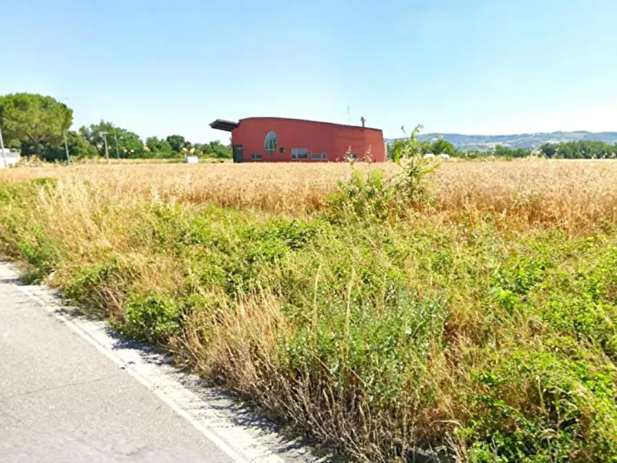 Immagine 5 di Terreno in vendita  in Via Santo Apollinare, Monte Roberto AN, Italia a Monte Roberto