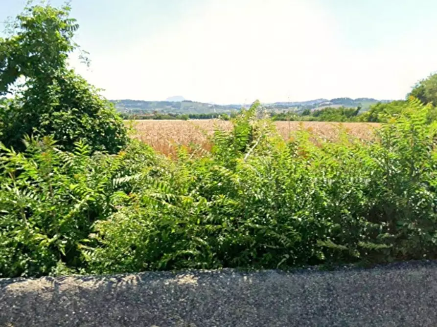 Immagine 6 di Terreno in vendita  in Via Santo Apollinare, Monte Roberto AN, Italia a Monte Roberto