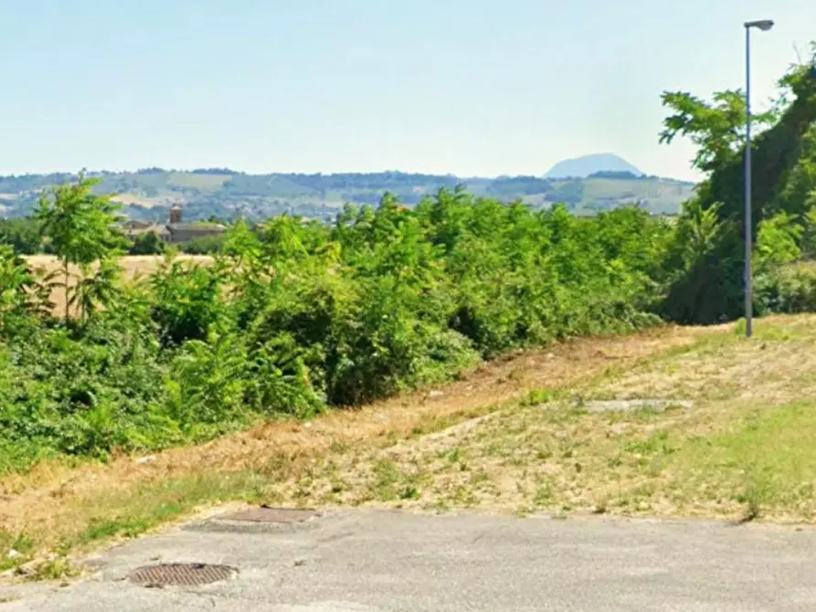 Immagine 6 di Terreno in vendita  in Via Santo Apollinare, Monte Roberto AN, Italia a Monte Roberto