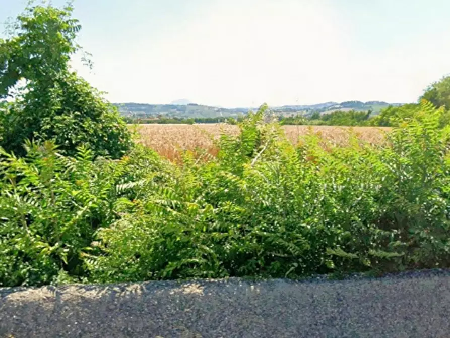 Immagine 7 di Terreno in vendita  in Via Santo Apollinare, Monte Roberto AN, Italia a Monte Roberto