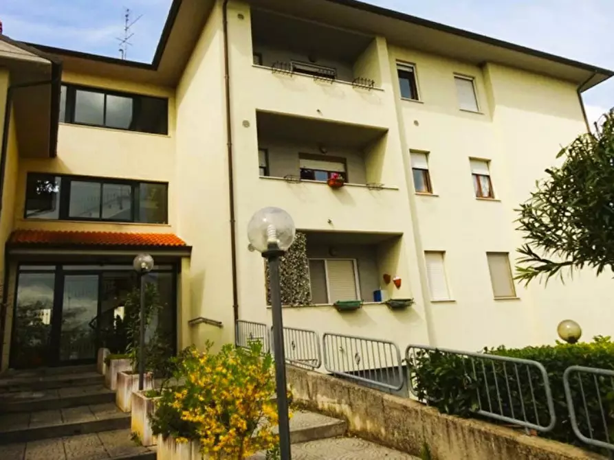 Immagine 2 di Cantina in vendita  in Via G. Tommasi, 60030 Pianello Vallesina AN, Italia a Monte Roberto