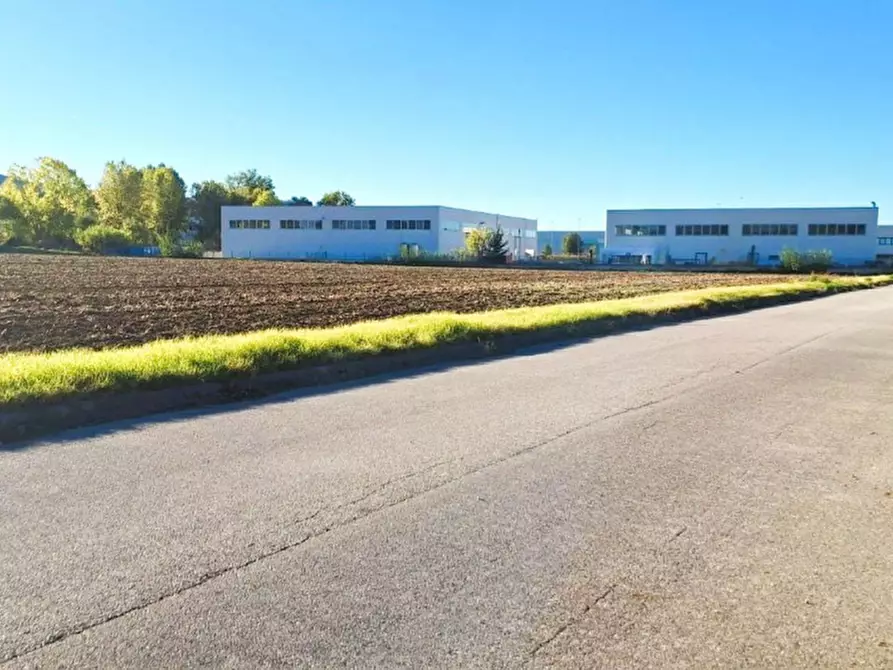 Immagine 1 di Terreno in vendita  in Via Scappia, 60030 Monte Roberto AN, Italia a Monte Roberto