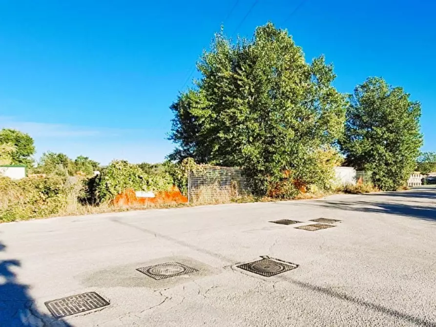 Immagine 4 di Terreno in vendita  in Via Scappia, 60030 Monte Roberto AN, Italia a Monte Roberto