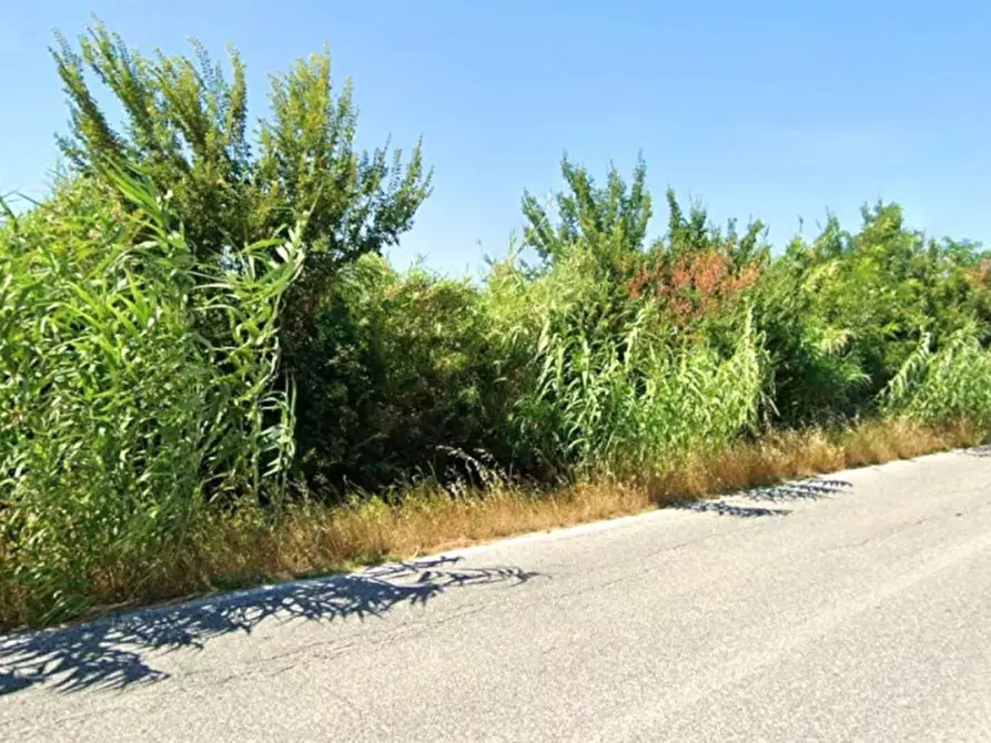 Immagine 7 di Terreno in vendita  in Via Scappia, 60030 Monte Roberto AN, Italia a Monte Roberto