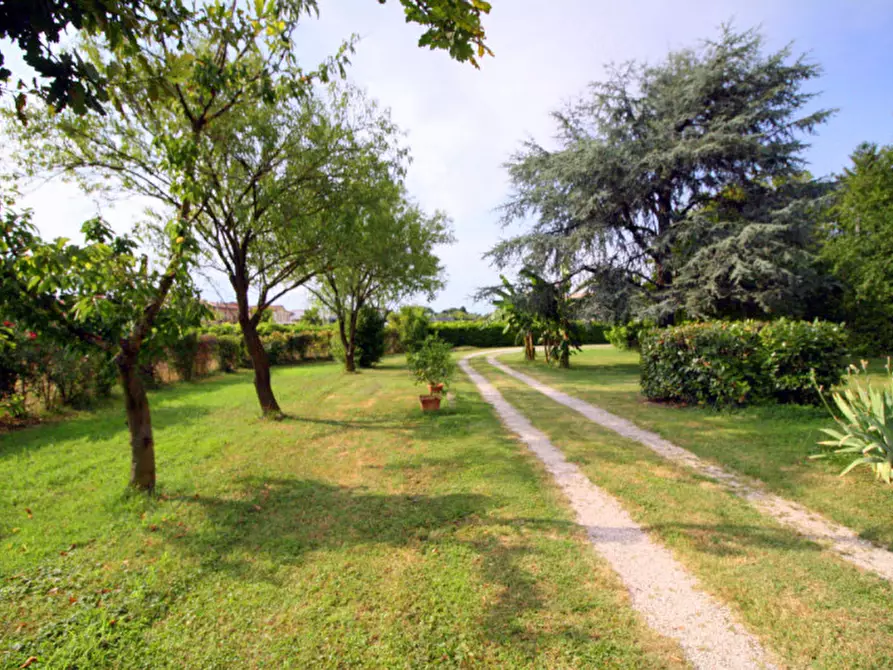 Immagine 5 di Appartamento in vendita  in Via Cairo a Padova