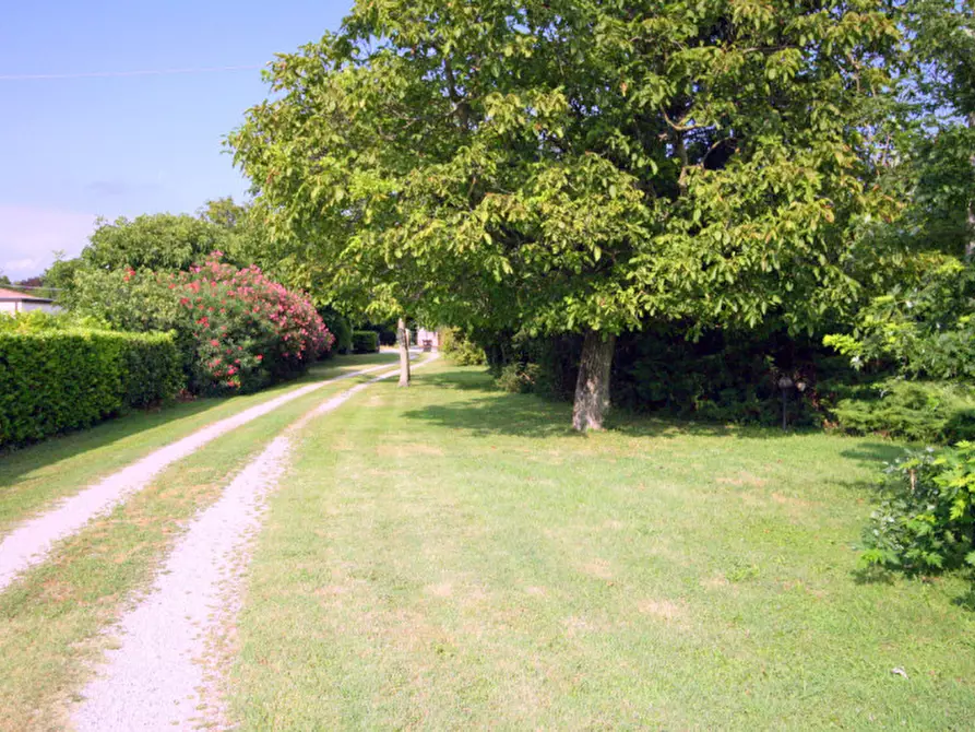 Immagine 8 di Appartamento in vendita  in Via Cairo a Padova