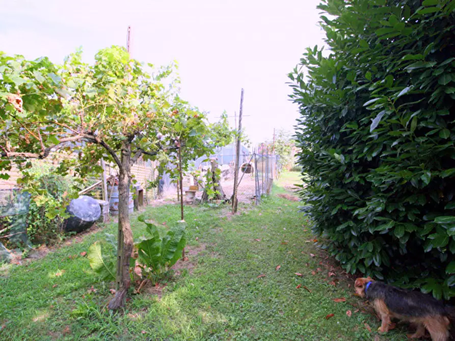 Immagine 9 di Appartamento in vendita  in Via Cairo a Padova