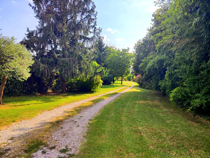 Immagine 31 di Appartamento in vendita  in Via Cairo a Padova