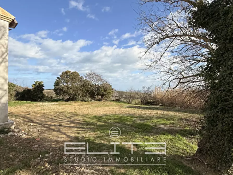 Immagine 9 di Villa in vendita  a Ancona