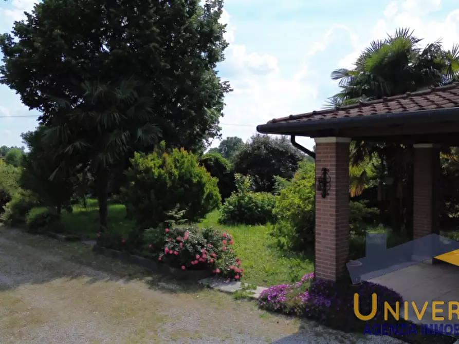 Immagine 3 di Casa bifamiliare in vendita  a San Giorgio Delle Pertiche