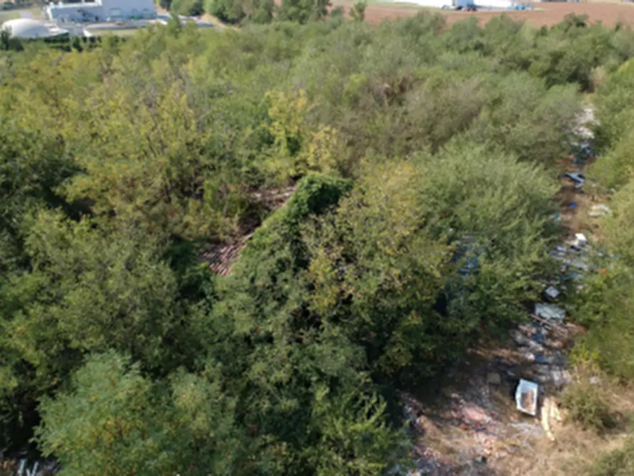 Immagine 6 di Rustico / casale in vendita  in Località mattarana a San Martino Buon Albergo